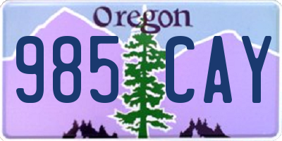 OR license plate 985CAY