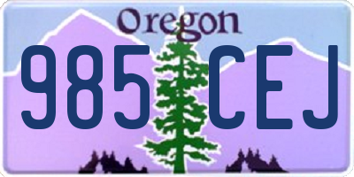 OR license plate 985CEJ