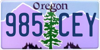 OR license plate 985CEY