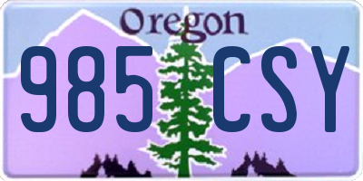OR license plate 985CSY