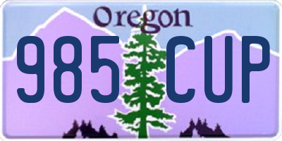 OR license plate 985CUP