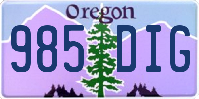 OR license plate 985DIG