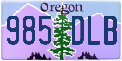 OR license plate 985DLB