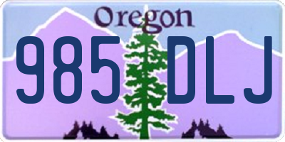 OR license plate 985DLJ