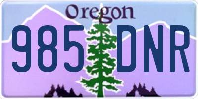 OR license plate 985DNR