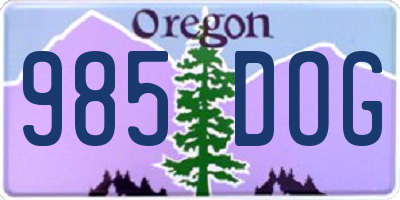 OR license plate 985DOG