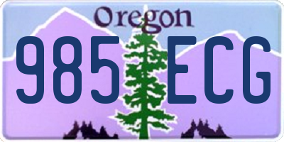 OR license plate 985ECG