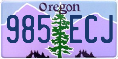 OR license plate 985ECJ