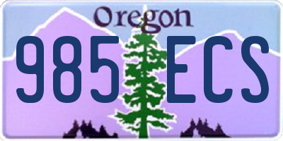 OR license plate 985ECS