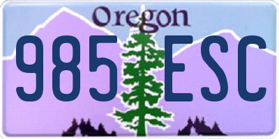OR license plate 985ESC