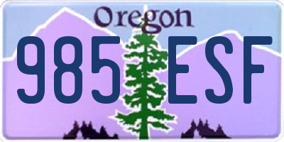 OR license plate 985ESF