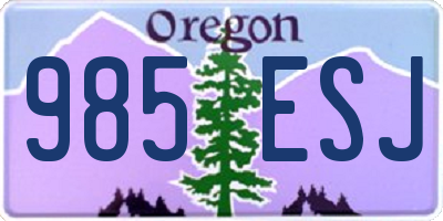 OR license plate 985ESJ