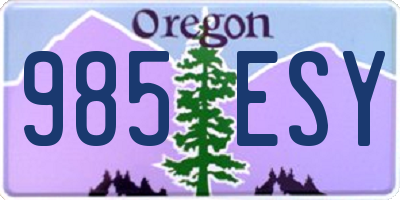 OR license plate 985ESY