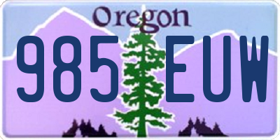 OR license plate 985EUW