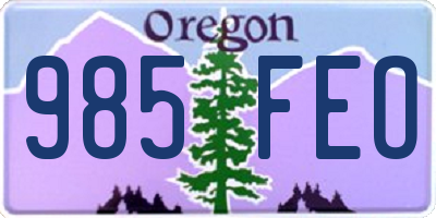 OR license plate 985FEO