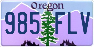 OR license plate 985FLV