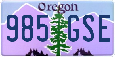 OR license plate 985GSE
