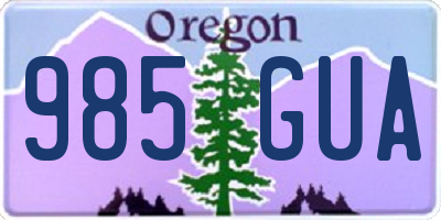 OR license plate 985GUA