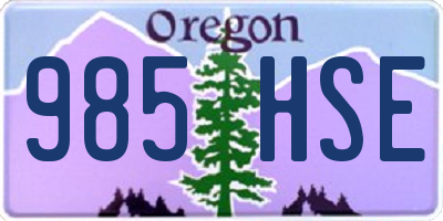 OR license plate 985HSE