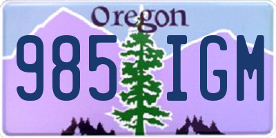 OR license plate 985IGM
