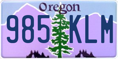 OR license plate 985KLM