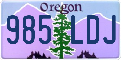OR license plate 985LDJ