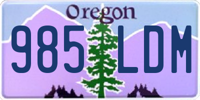 OR license plate 985LDM