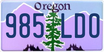 OR license plate 985LDO