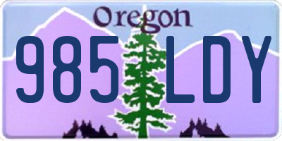 OR license plate 985LDY