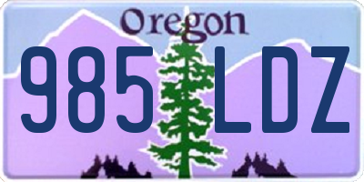 OR license plate 985LDZ
