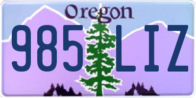 OR license plate 985LIZ