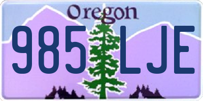 OR license plate 985LJE