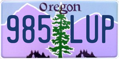 OR license plate 985LUP
