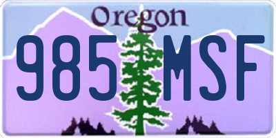 OR license plate 985MSF