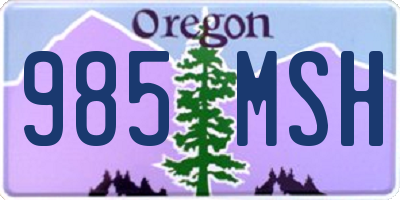 OR license plate 985MSH