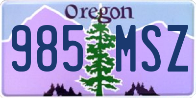 OR license plate 985MSZ