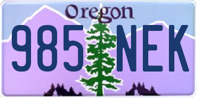 OR license plate 985NEK