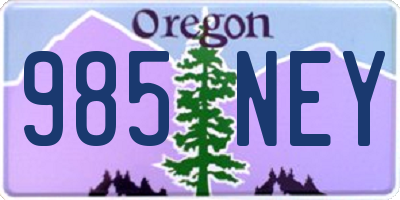 OR license plate 985NEY