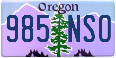 OR license plate 985NSO