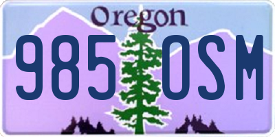 OR license plate 985OSM