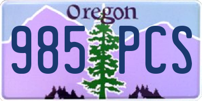 OR license plate 985PCS