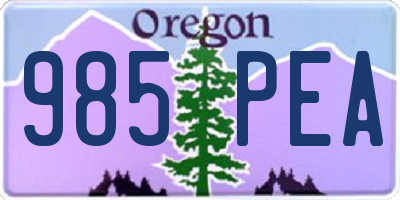 OR license plate 985PEA