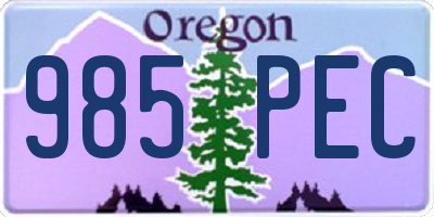 OR license plate 985PEC