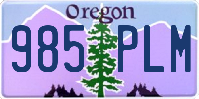OR license plate 985PLM