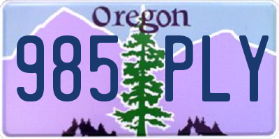 OR license plate 985PLY