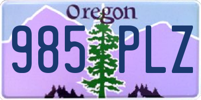 OR license plate 985PLZ