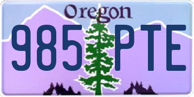 OR license plate 985PTE