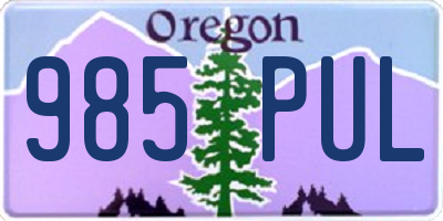 OR license plate 985PUL