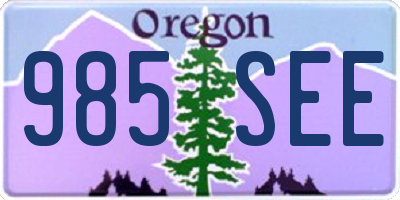 OR license plate 985SEE