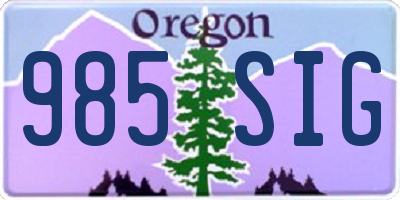 OR license plate 985SIG